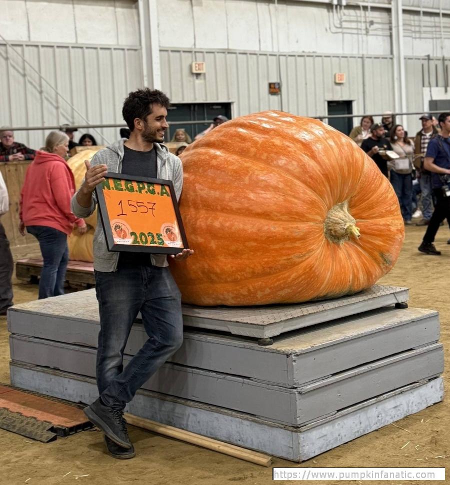 1557 Aiello 2025